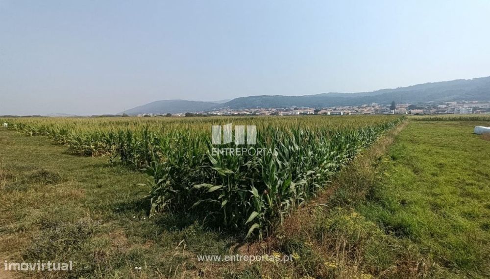 Venda de terreno agrícola com 7890m², Areosa, Viana do Castelo