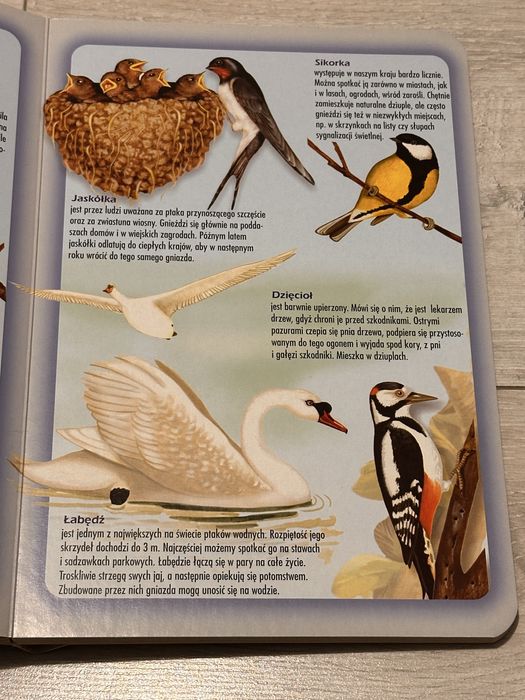 Atlas zwierząt polski książka dla dzieci