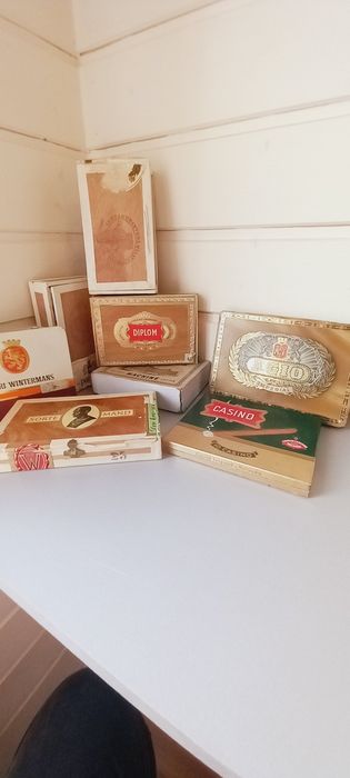 Pudełko kolekcjonerskie