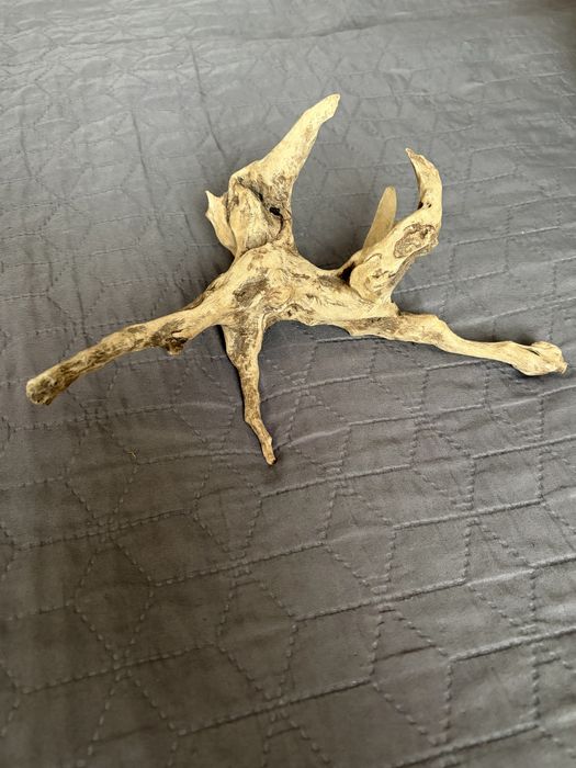 Ozdoby do akwarium, kamienie i korzenie