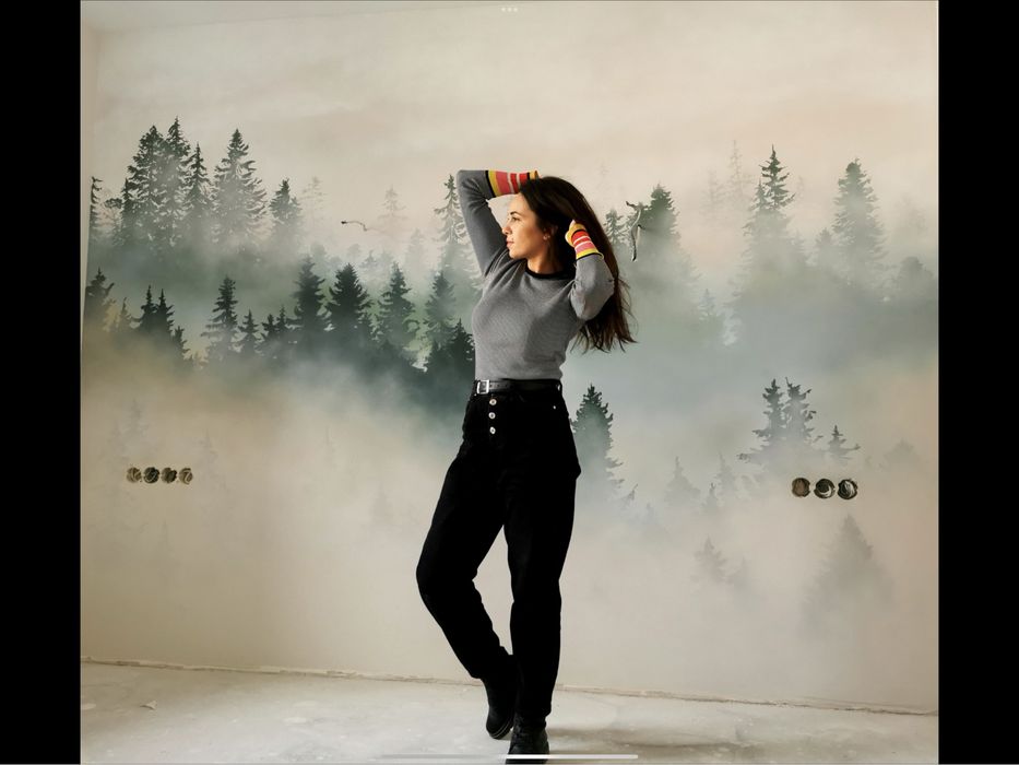 Роспись стен, розпис стін, аерографія