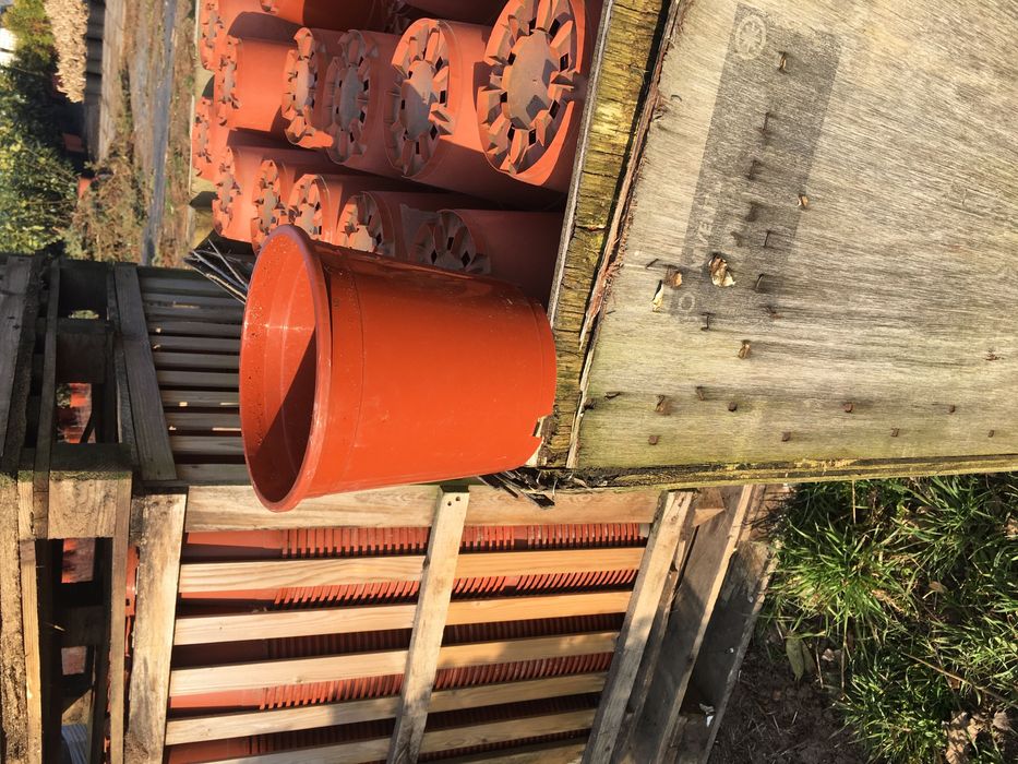 Doniczki produkcyjne 14 cm teracota