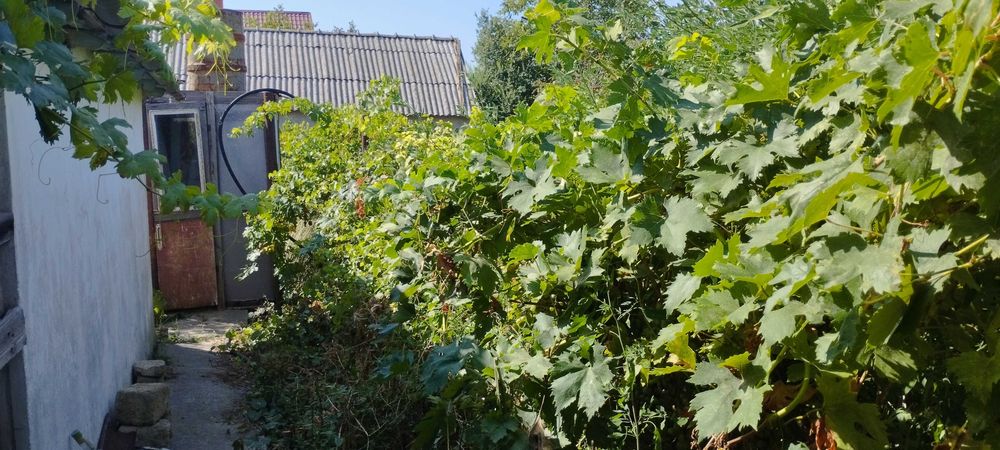 Садиба в місті Кілія Одеської області