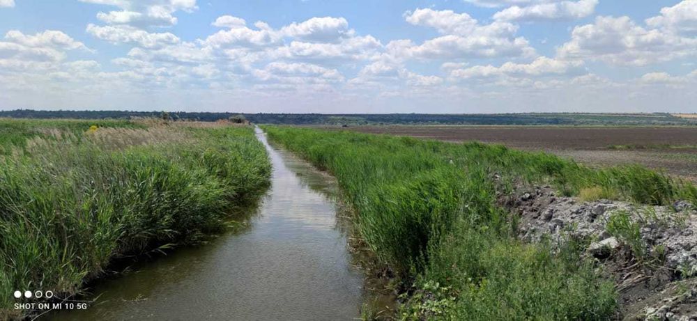 Продаж 100 га одним масивом під полив