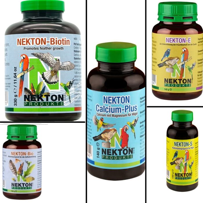 Gama Nekton disponivel