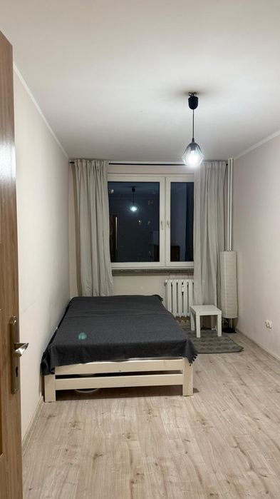 Zdjęcie 7