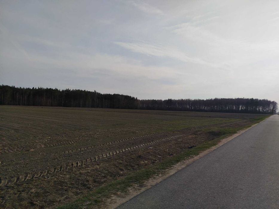 Działki budowlane Malczyn gmina Nasielsk 19/1-19/8 - Widok 5
