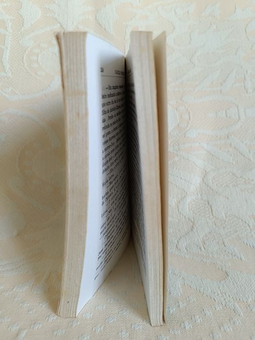 Os meus Amores de Trindade Coelho