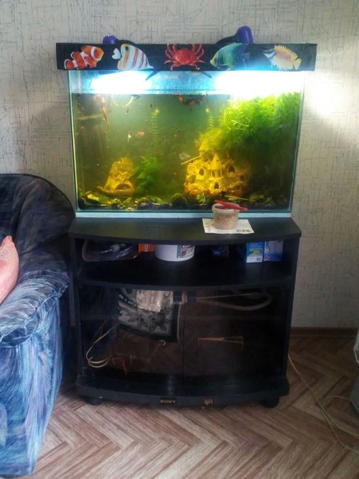 Акваріум до рибок 100л з тумбою