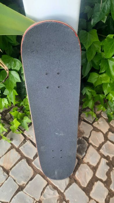 Skate boards x 2