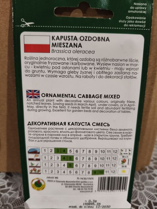 Kapusta ozdobna nasiona
