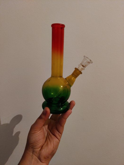 Bongo tricolor completo