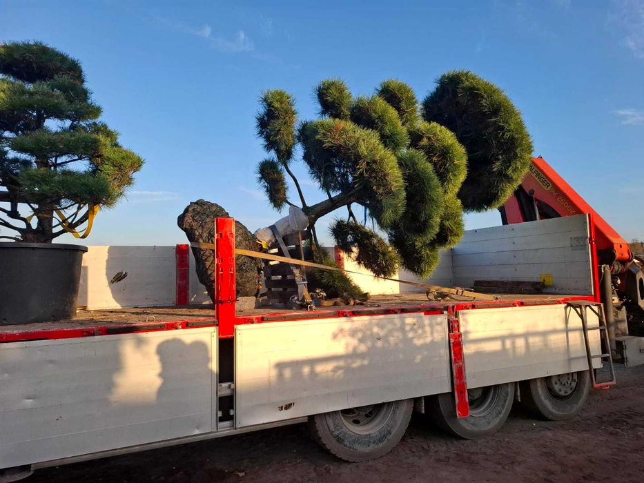 Transport HDS kontenery żwir rozładunki wywrotki koparki usługi HDS