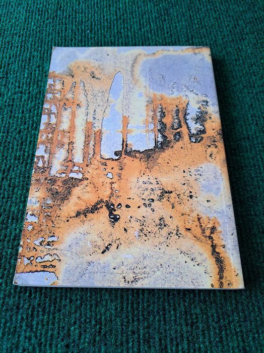 Filhos da Terra - Ana Maria Amaro