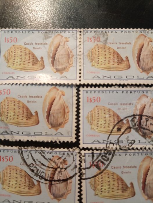 8 selos - Conchas de Angola 1974 - Carimbados. Em excelente estado
