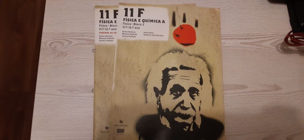 Física e Química A 11 ano