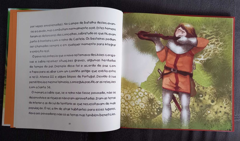 Livro histórico infantil de D. DINIS