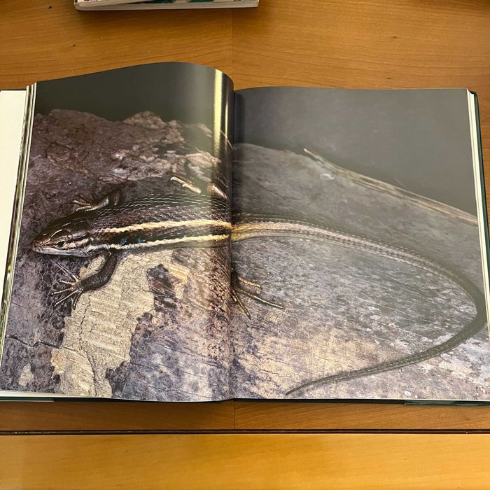 A Nossa Natureza : Espécies Protegidas (2 volumes, Aupper)