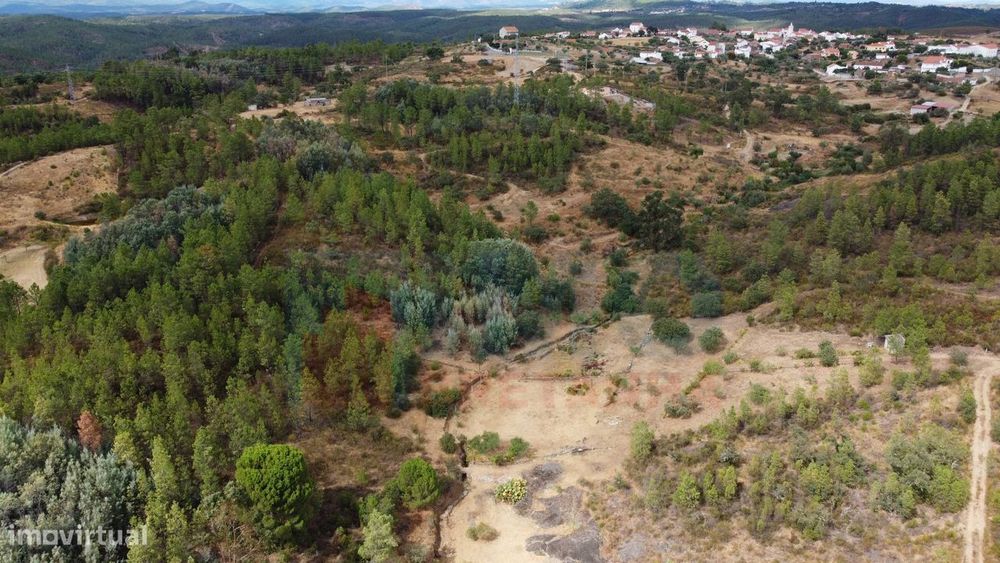 Terreno em Taberna Seca — Benquerenças, Castelo Branco