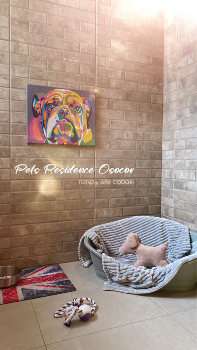 Перетримка собак в комфортних умовах. Приватна закрита територія.