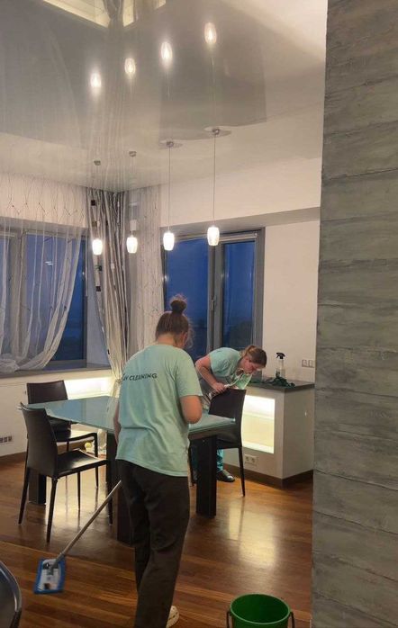 Клининг, Профессиональная химчистка