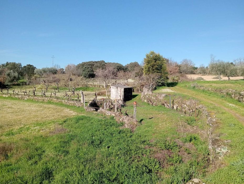 Terreno com viabilidade para construção