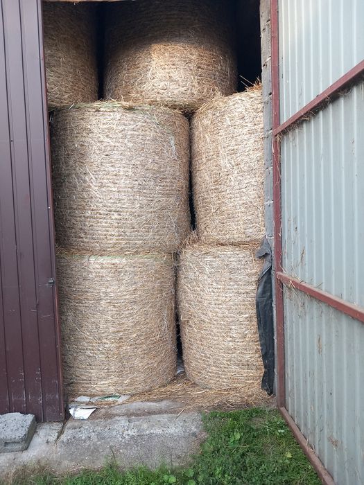 Sloma 2025 z transportem