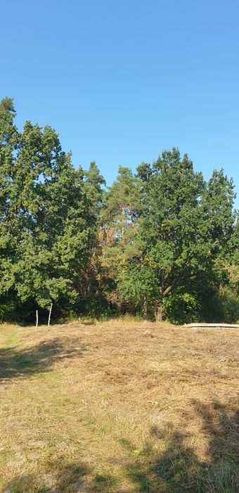 Ексклюзивна земельна ділянка в сосновому лісі, р-н Кавунових дач