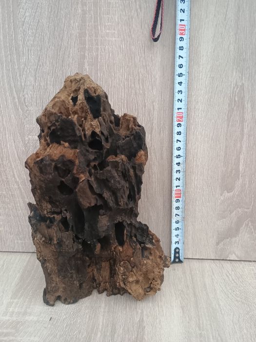 Корч в акваріум..