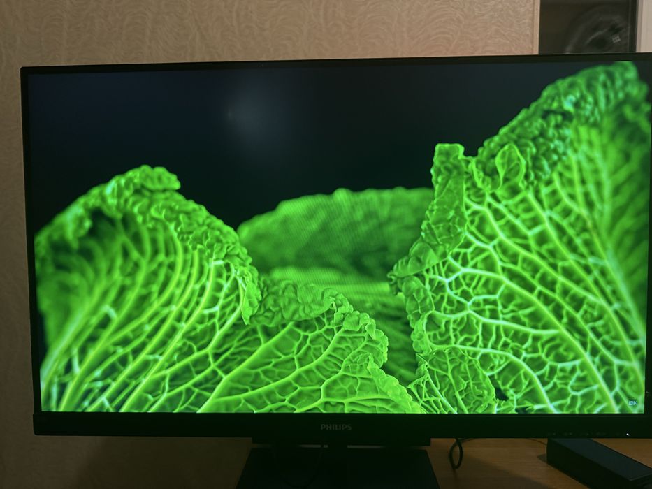 Монітор Philips 275E 27" QHD(2K) з дефектом