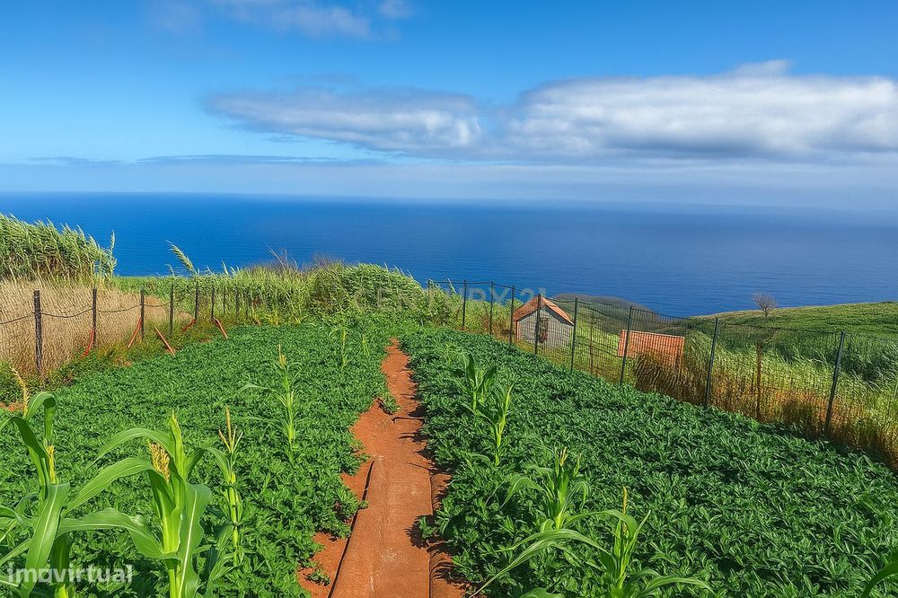 Casa Rústica com Vista Mar e Potencial Turístico em Porto Moniz