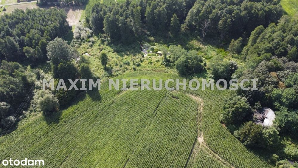 Działki z WZ nad rzeką Miszewko gm.Bodzanów - Widok 2
