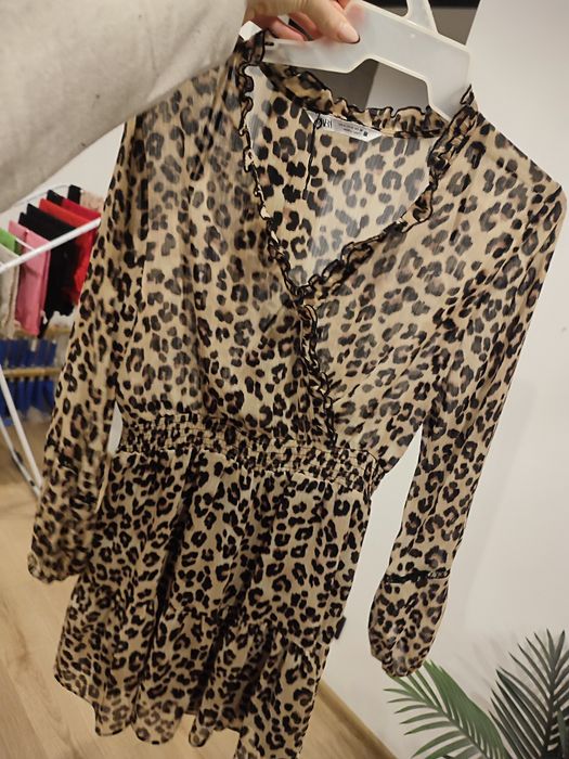 Śliczna sukienka Zara r. s