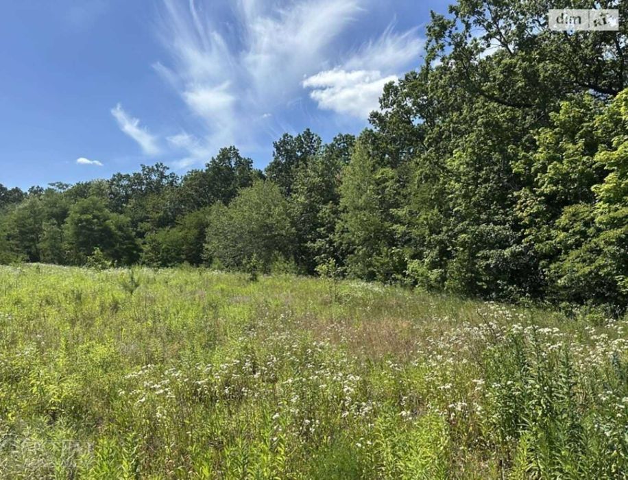 Продаж земельної ділянки с/г призначення, 8 соток, сю Бохоники