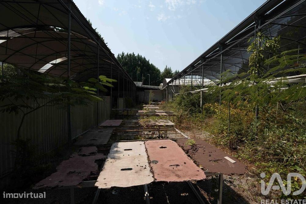Terreno para construção em Borbela e Lamas de Olo de 2750,00 m2