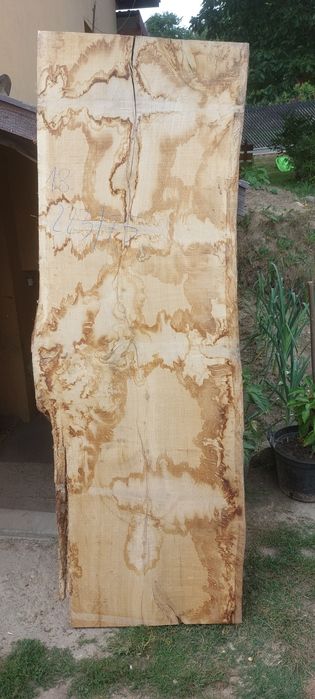 Monolity, blaty, foszty dębowe suche  210/65/5cm