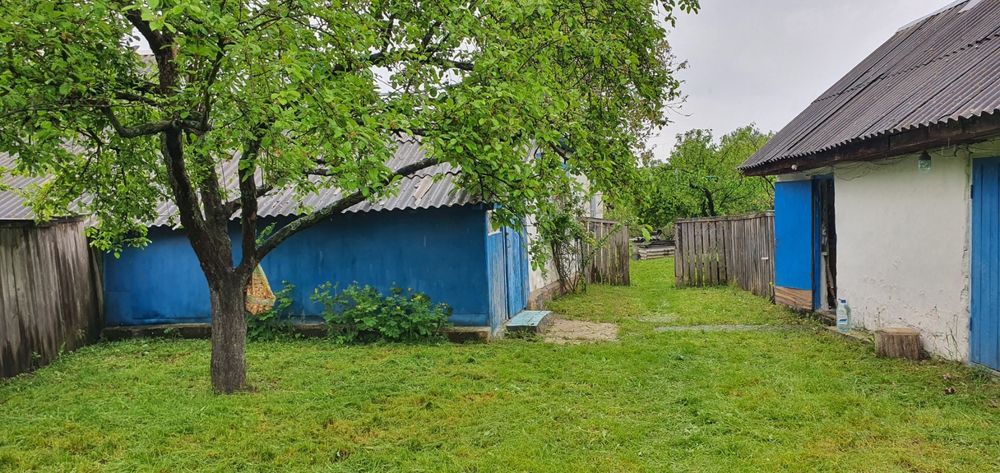 Бабинці-продам ділянку  15 сот з будівлями!