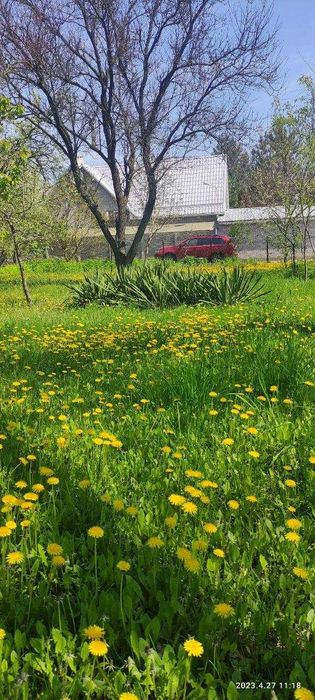 Продам дачу на Левобережном-3