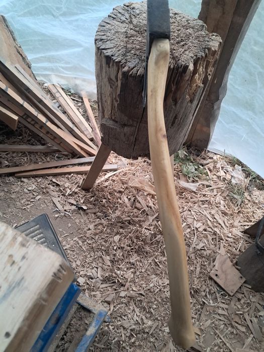 Toporek ciesielski prawy