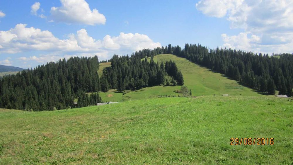 Ділянка під ГОТЕЛЬ в Карпатах (8 км від Буковелю) поблизу асфальтованої дороги