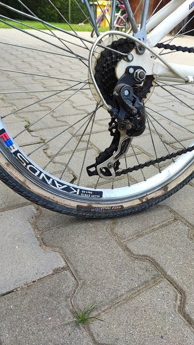 Rower dziewczęcy Kands 24"