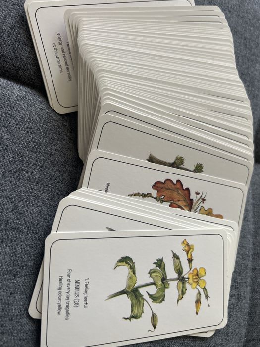 The Healing Flower Color Cards - raro