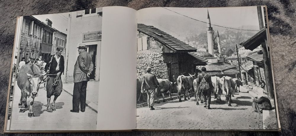 Jan Styczynski zwierzęta i my stare fotografie  prl zdjecia