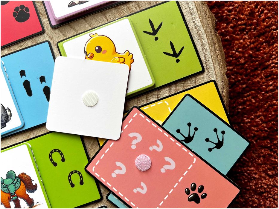 Pegadas dos Animais - Montessori