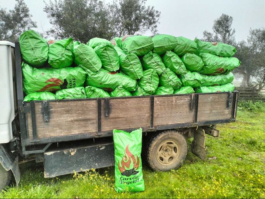 Holm Oak Charcoal64281308575619121