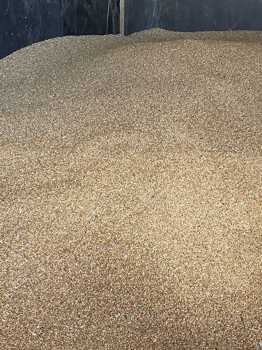 Якісна суха кукурудза, є доставка