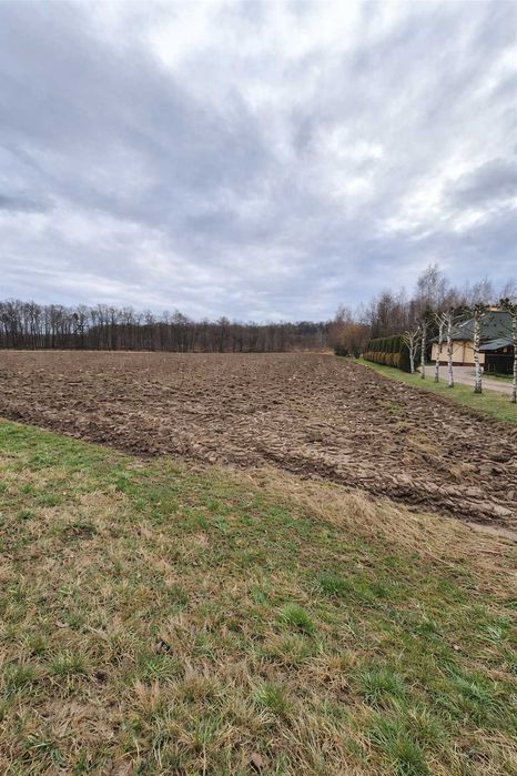 DZIAŁKA BUDOWLANA 1100 M2, DWORY DRUGIE, OKOLICE OŚWIĘCIMIA - Widok 2