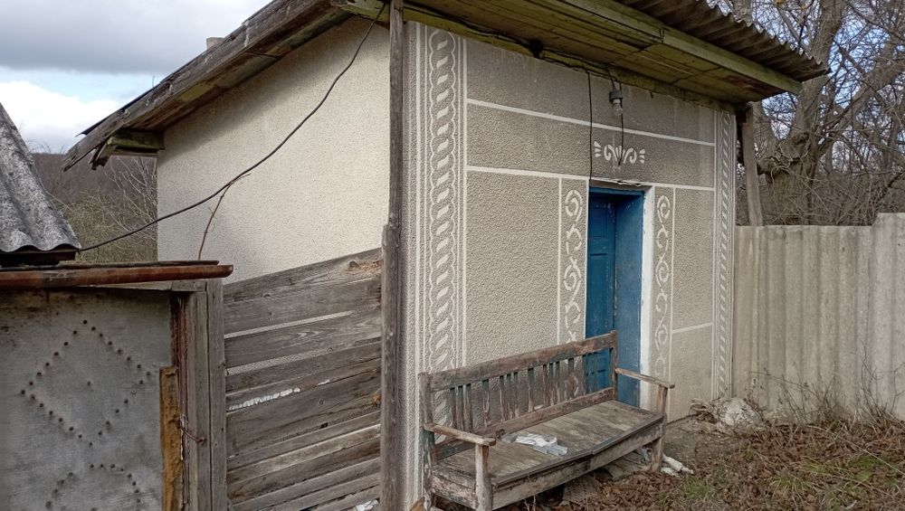 Будинок біля лісу
