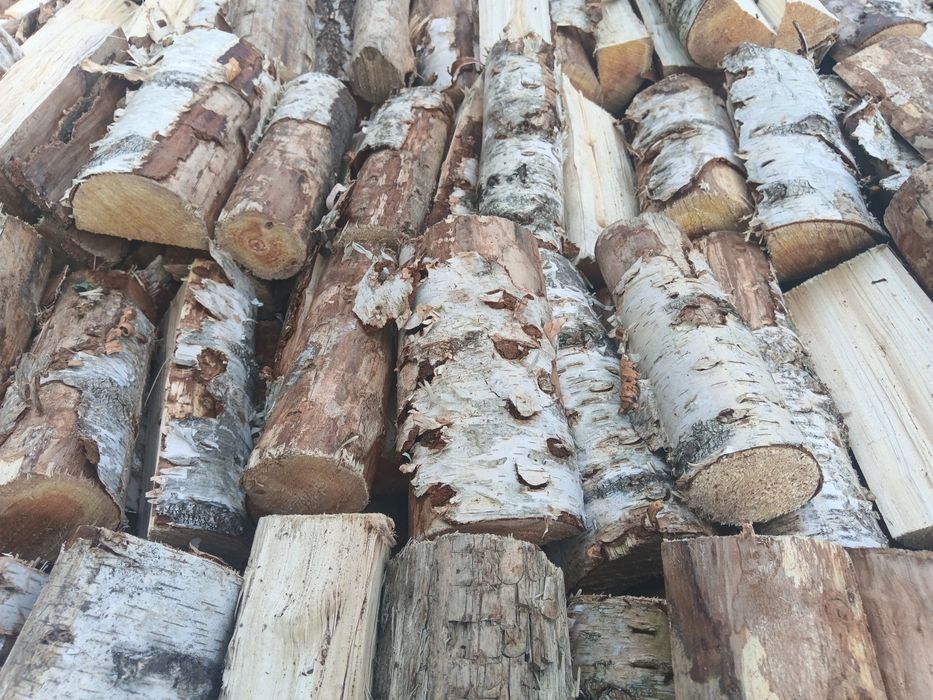 Brzoza. Opał, drewno kominkowe. Możliwość transportu.