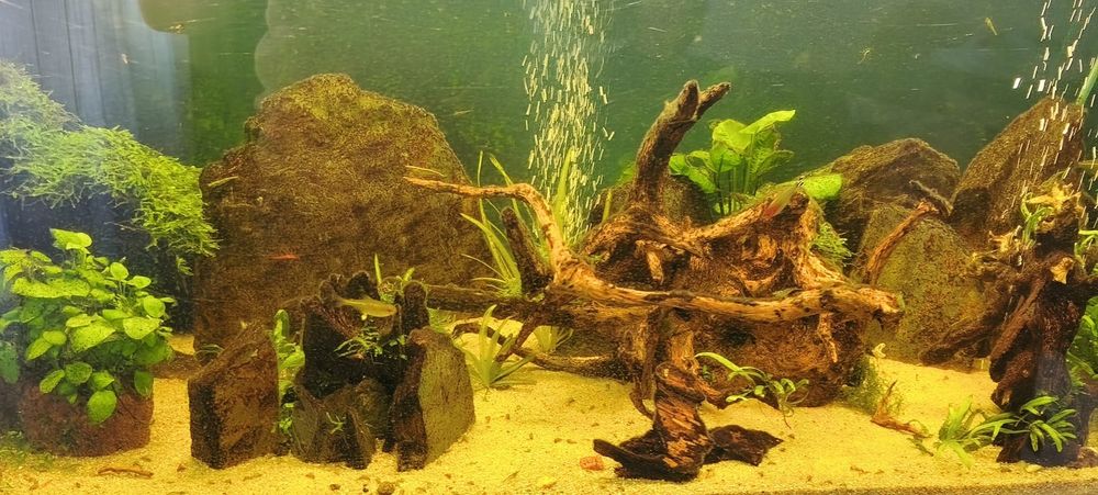Aquário completo